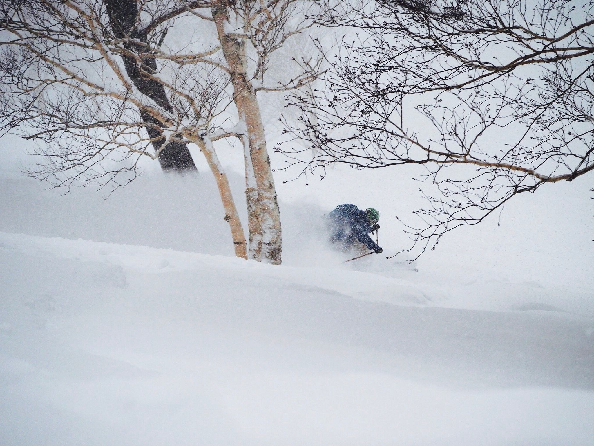 Classic Japow at Tazawako