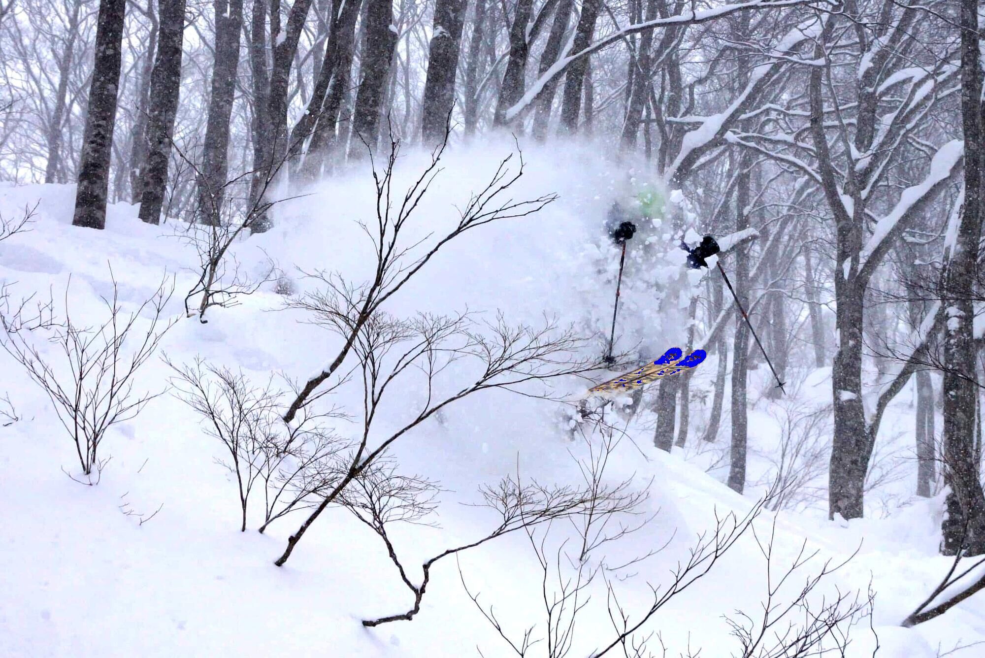 Sending it in trees at Mt. T - everyones a hero in Japow