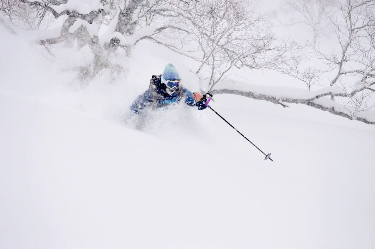 waste-deep pow in Gunma japow