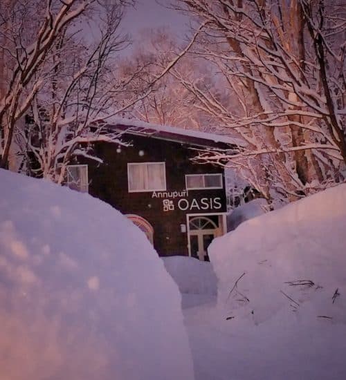 Annupuri Oasis Lodge