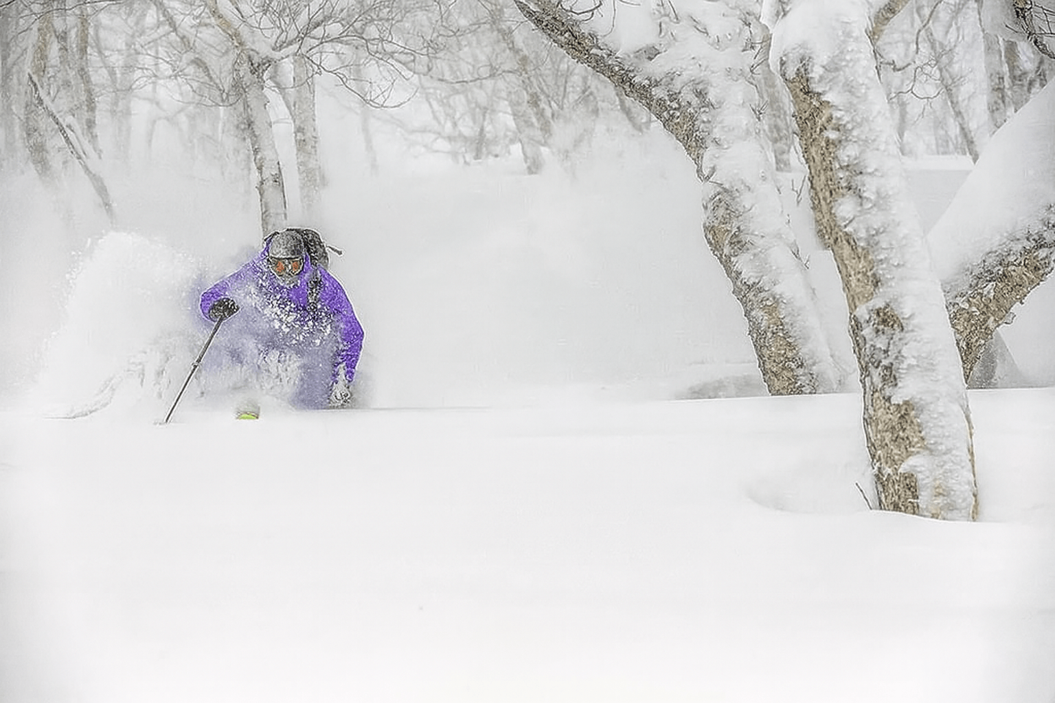 Tree runs at Kiroro - no better place to enjoy some Japow
