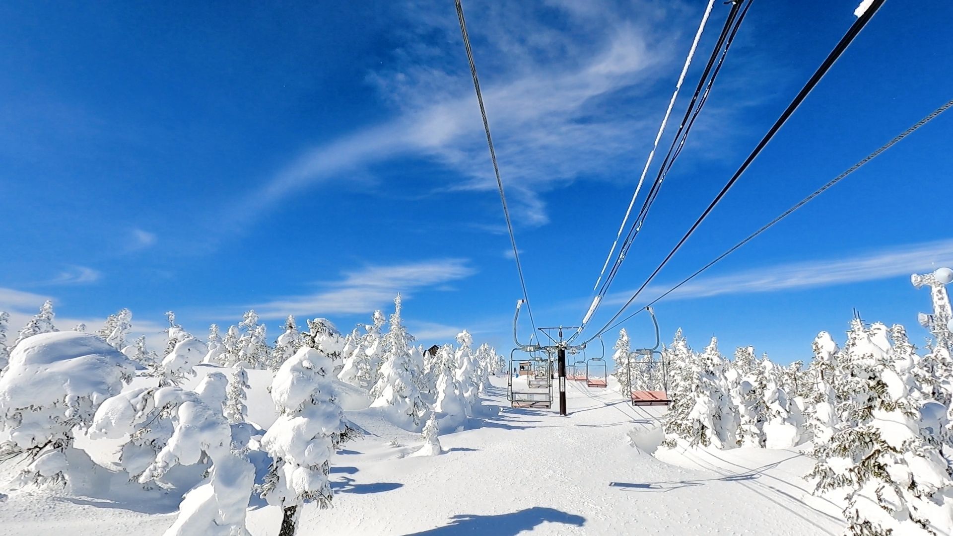 Chairlift at Shiga Kogen, trees covered in japow, blue skies