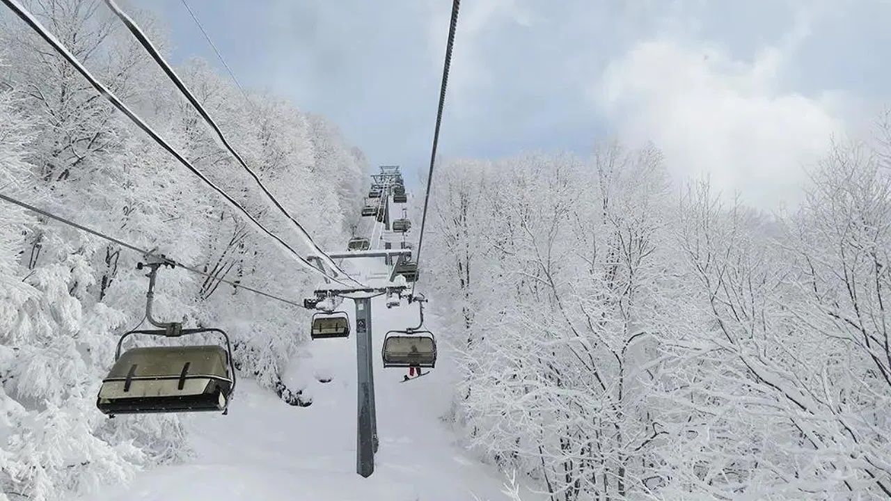 chairlift at Madarao surrounded by snow kissed trees