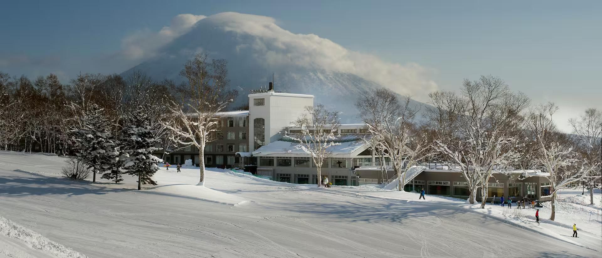 The Green Leaf Niseko