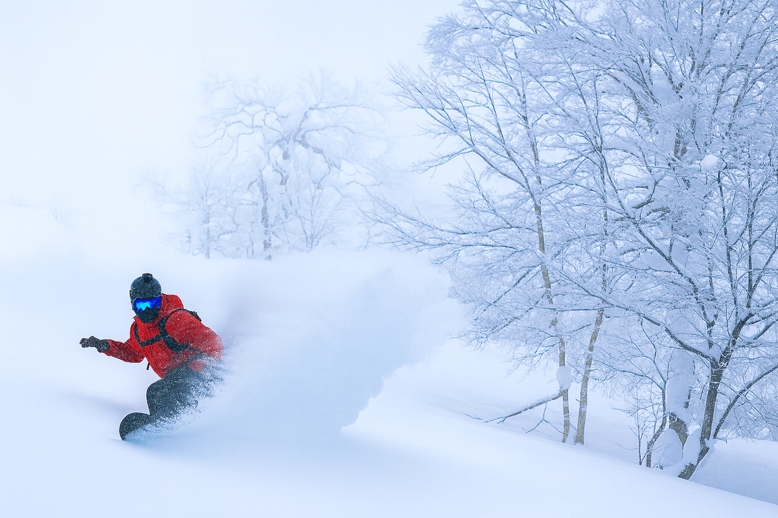 Tree riding at Tomamu should not be missed