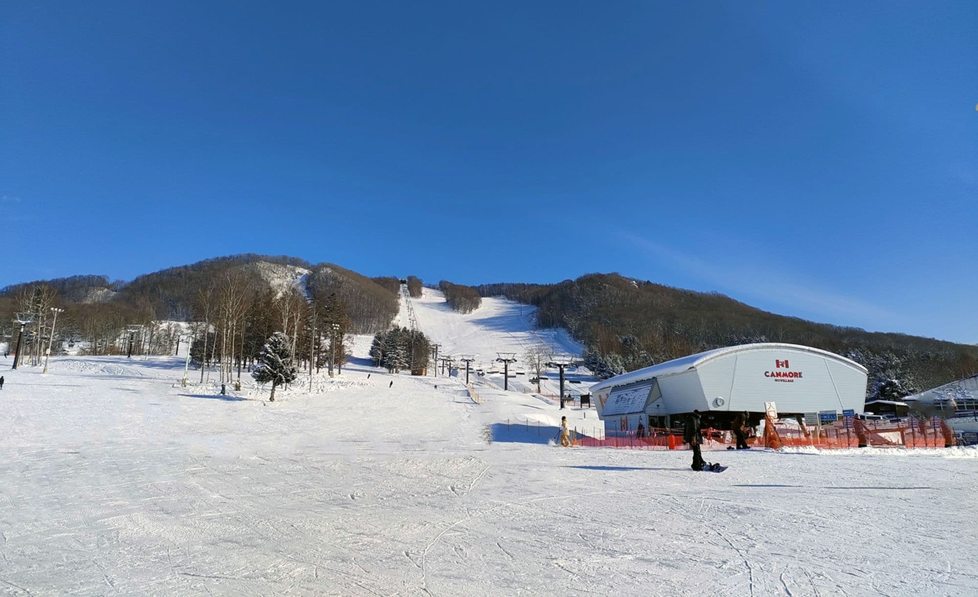 Tiny price, tasty turns — the Asahikawa after-work stash