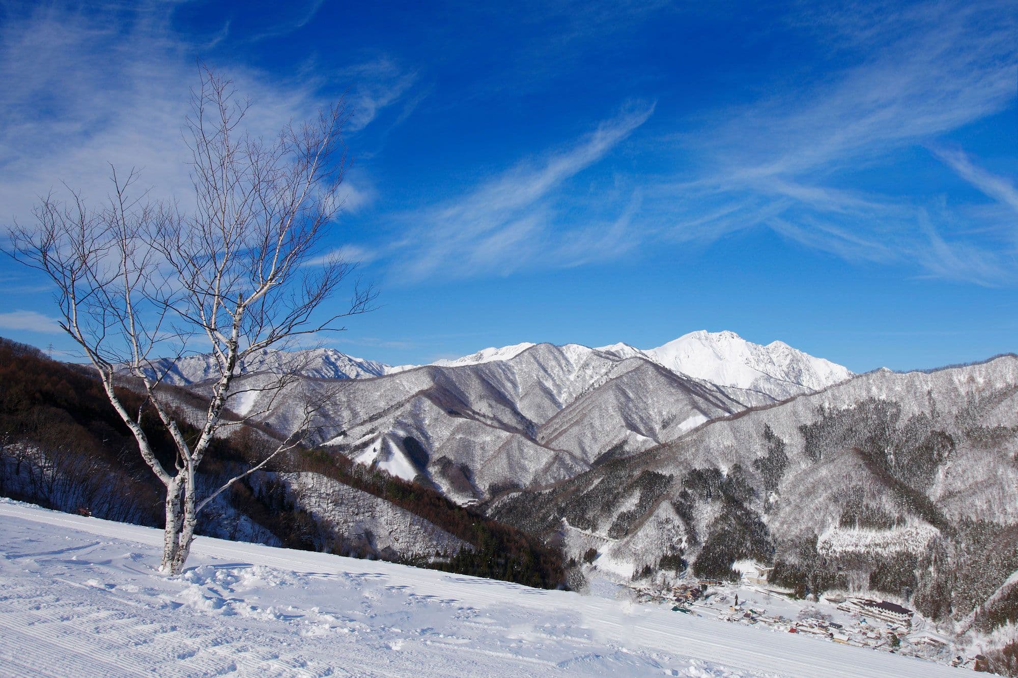 Kanto’s night-riding workhorse with a surprising top-to-bottom