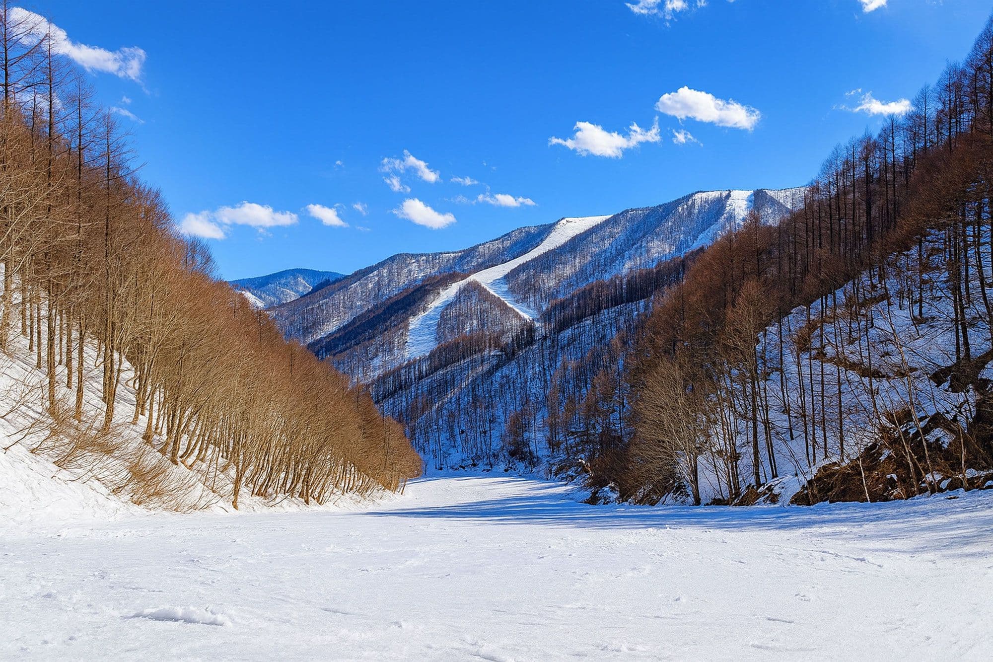 Friendly fall-line, storm-day sanctuary