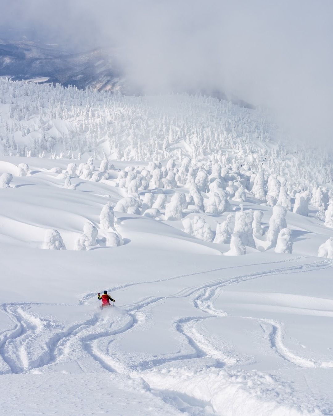 Nice lines down towards the snow monsters in Aomori