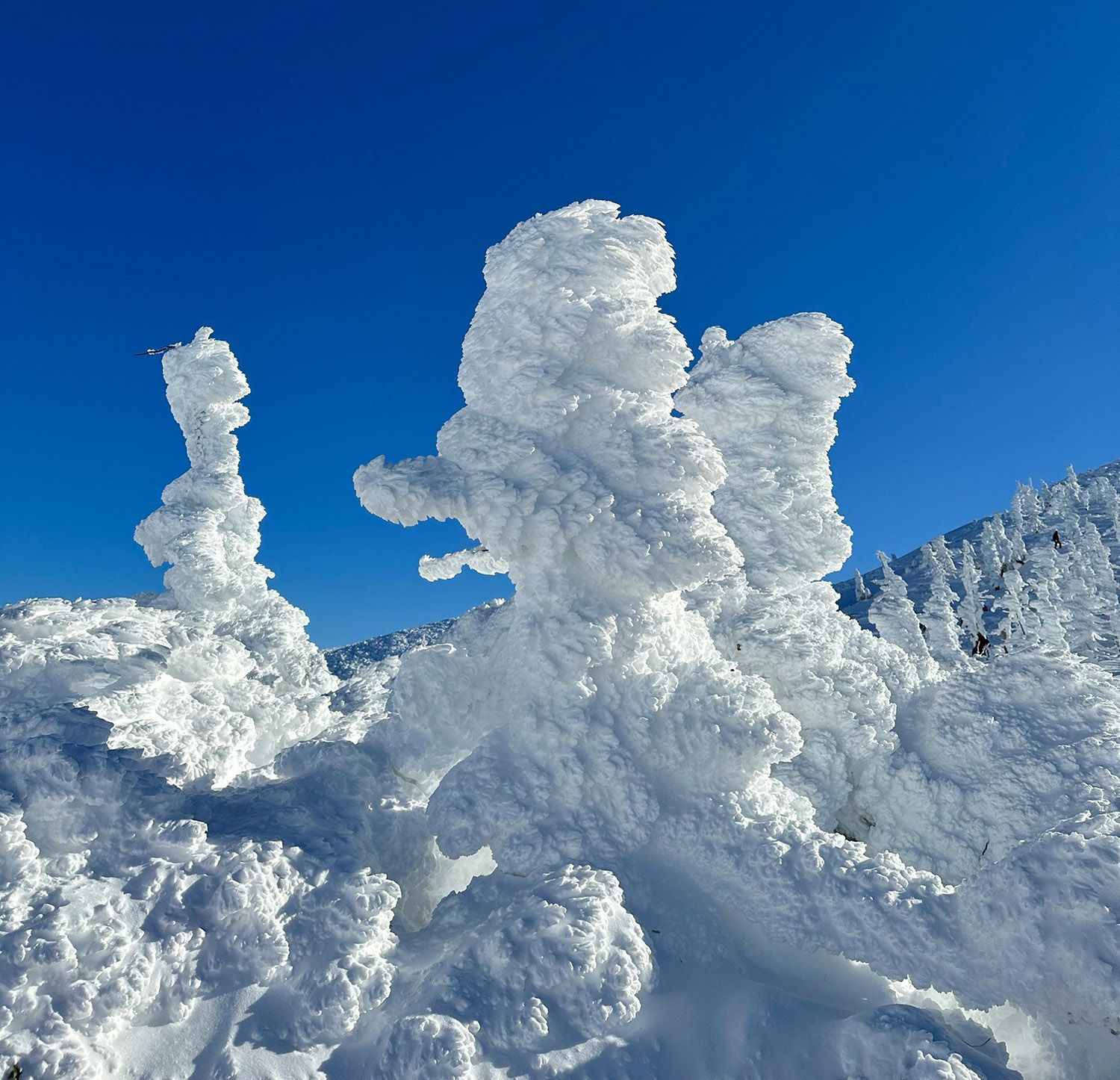 Snow monsters at Zao