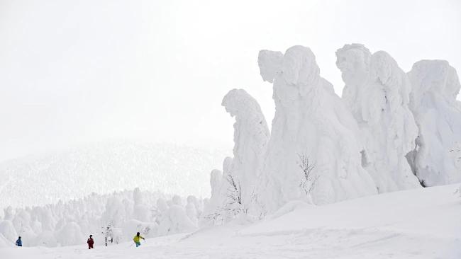 Enormous snow ghosts at Zao Onsen