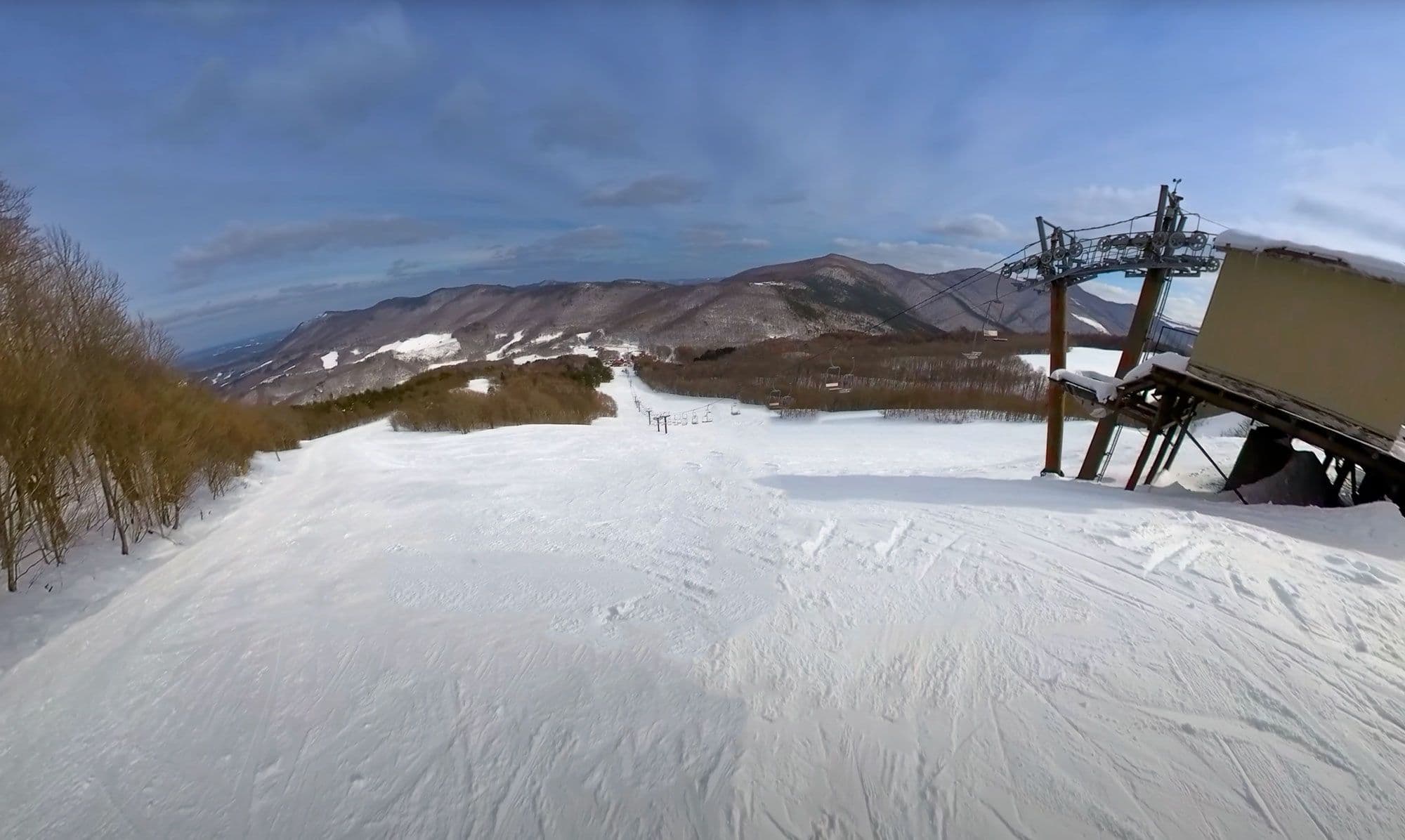 Birch-lined cruisers with a quiet Tōhoku soul