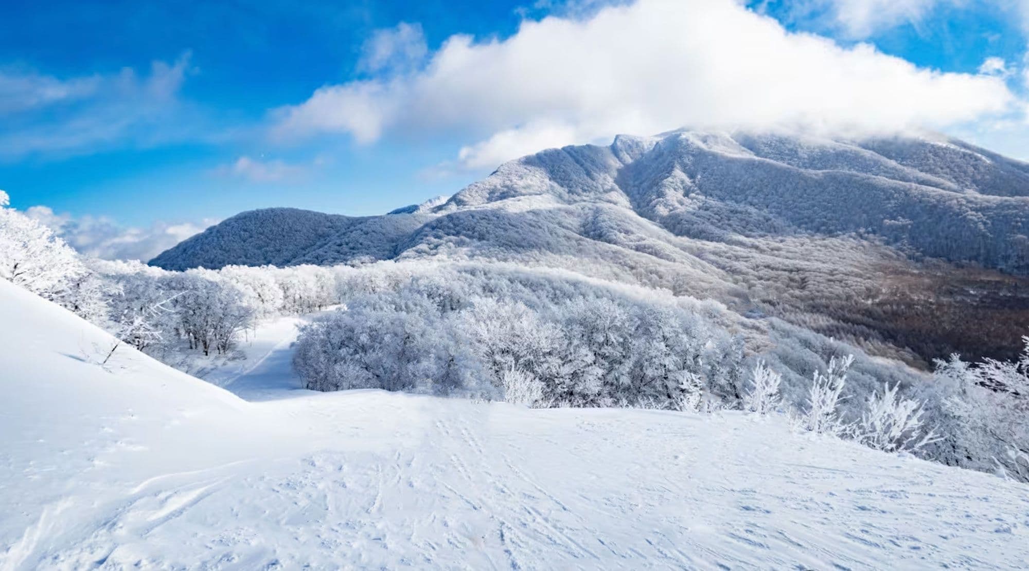 Two Faces, One Powder Playground