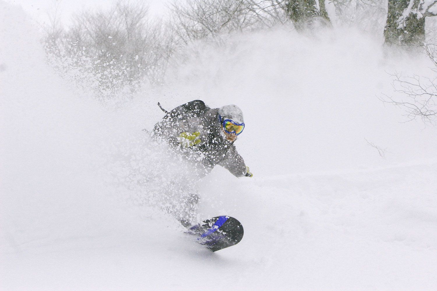 Snowboarder in japow