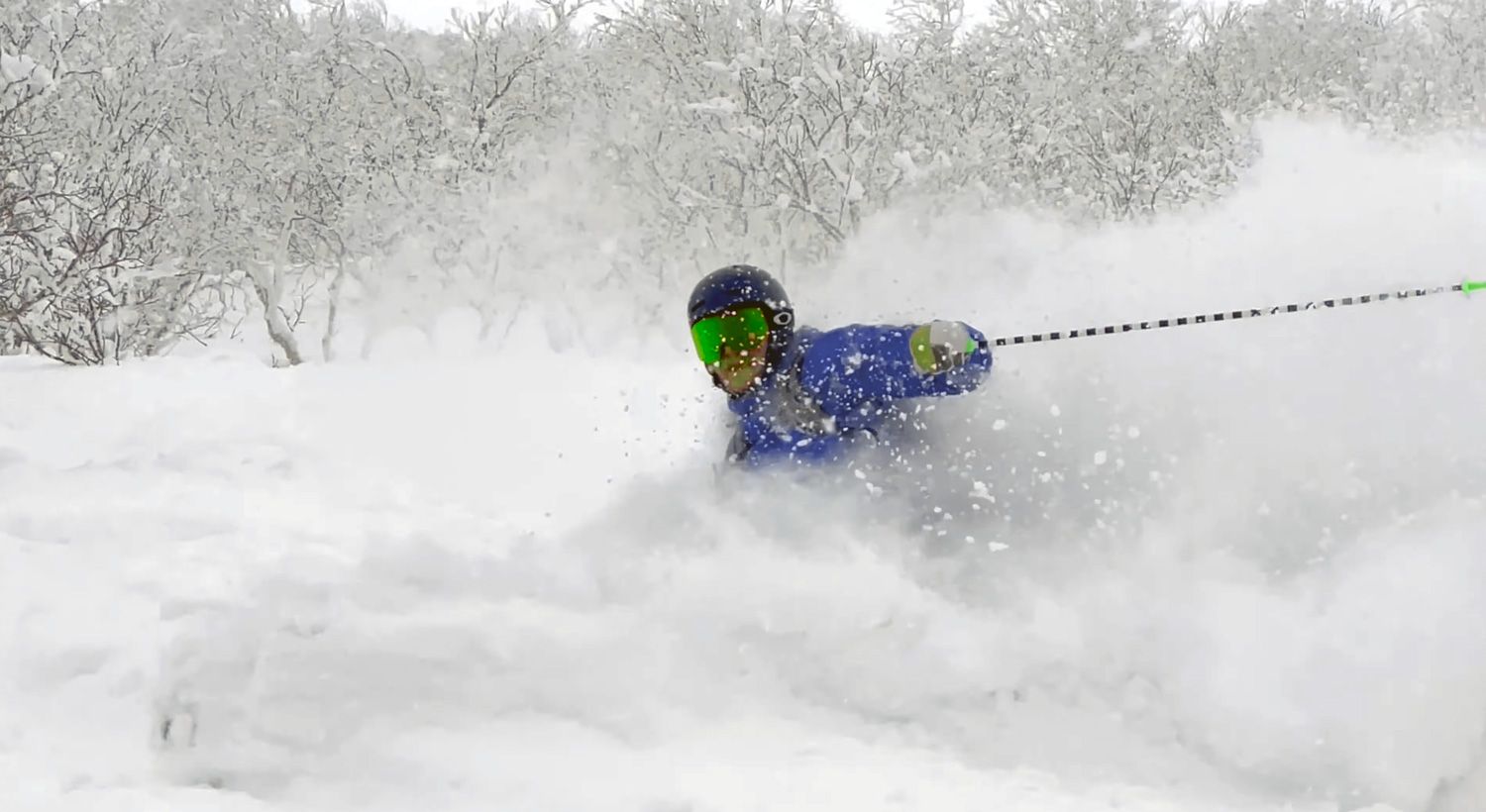 Skier shredding some classic Annupuri pow
