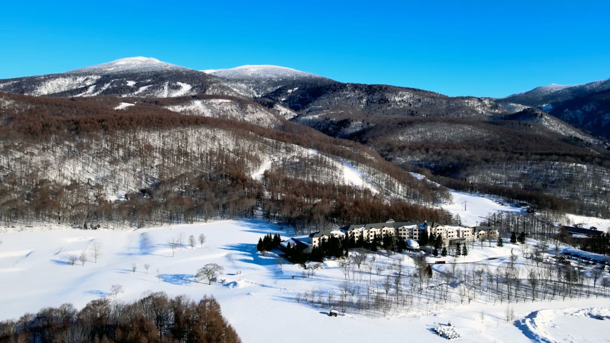 High, Cold, and Consistently Good