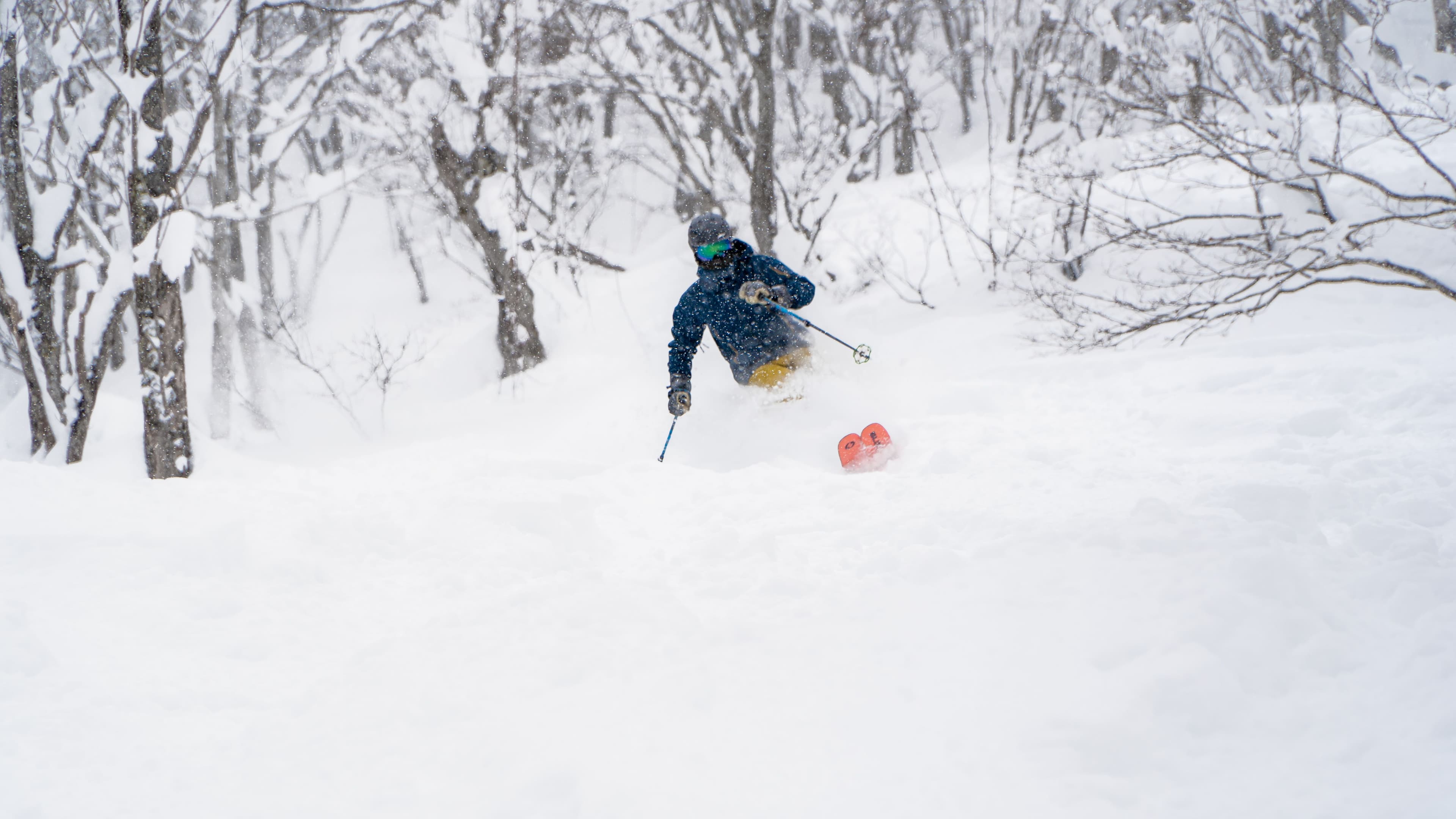 Skier in the famous Japow sidecountry
