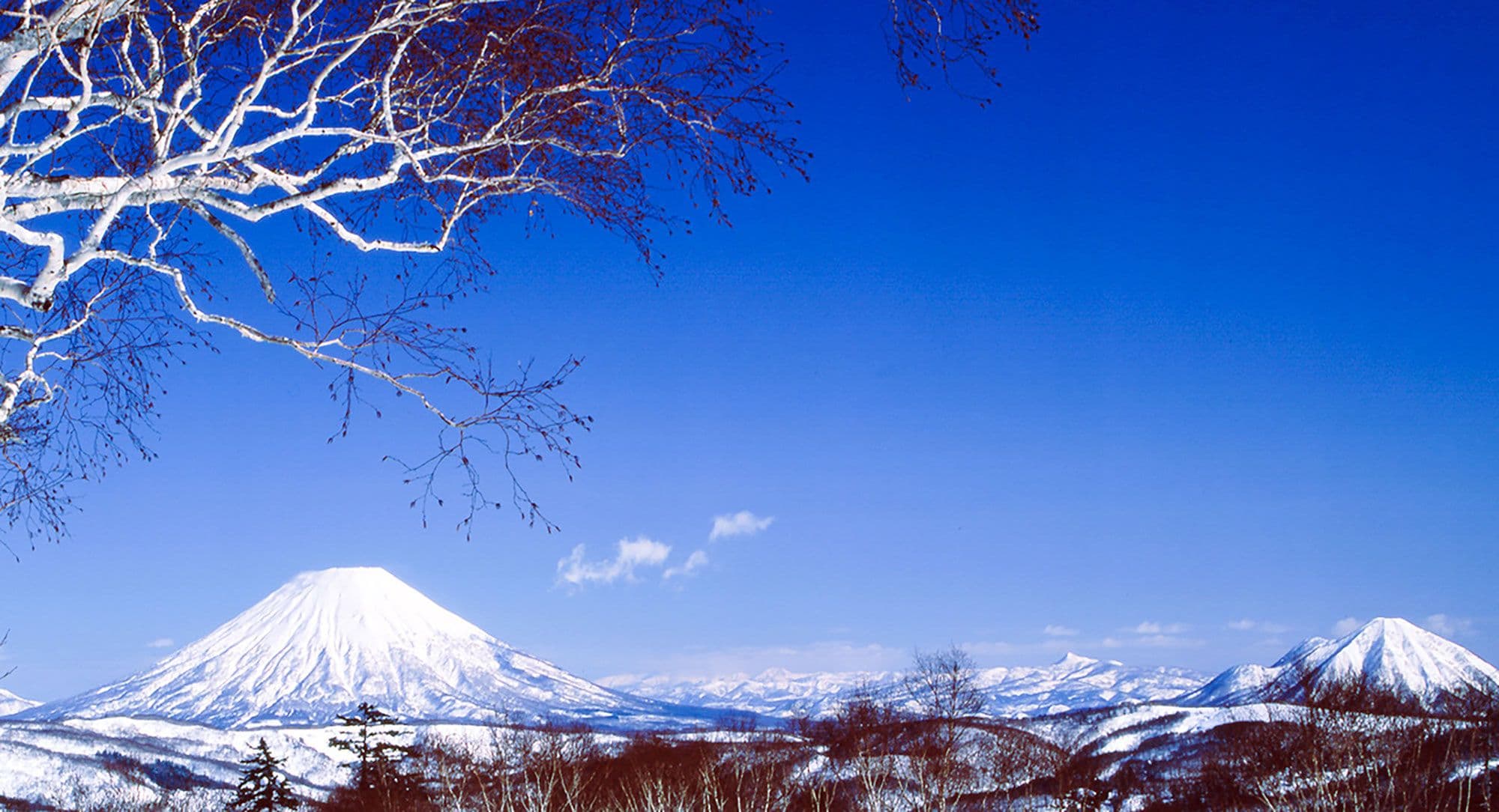 Spring park, early storms, zero fuss