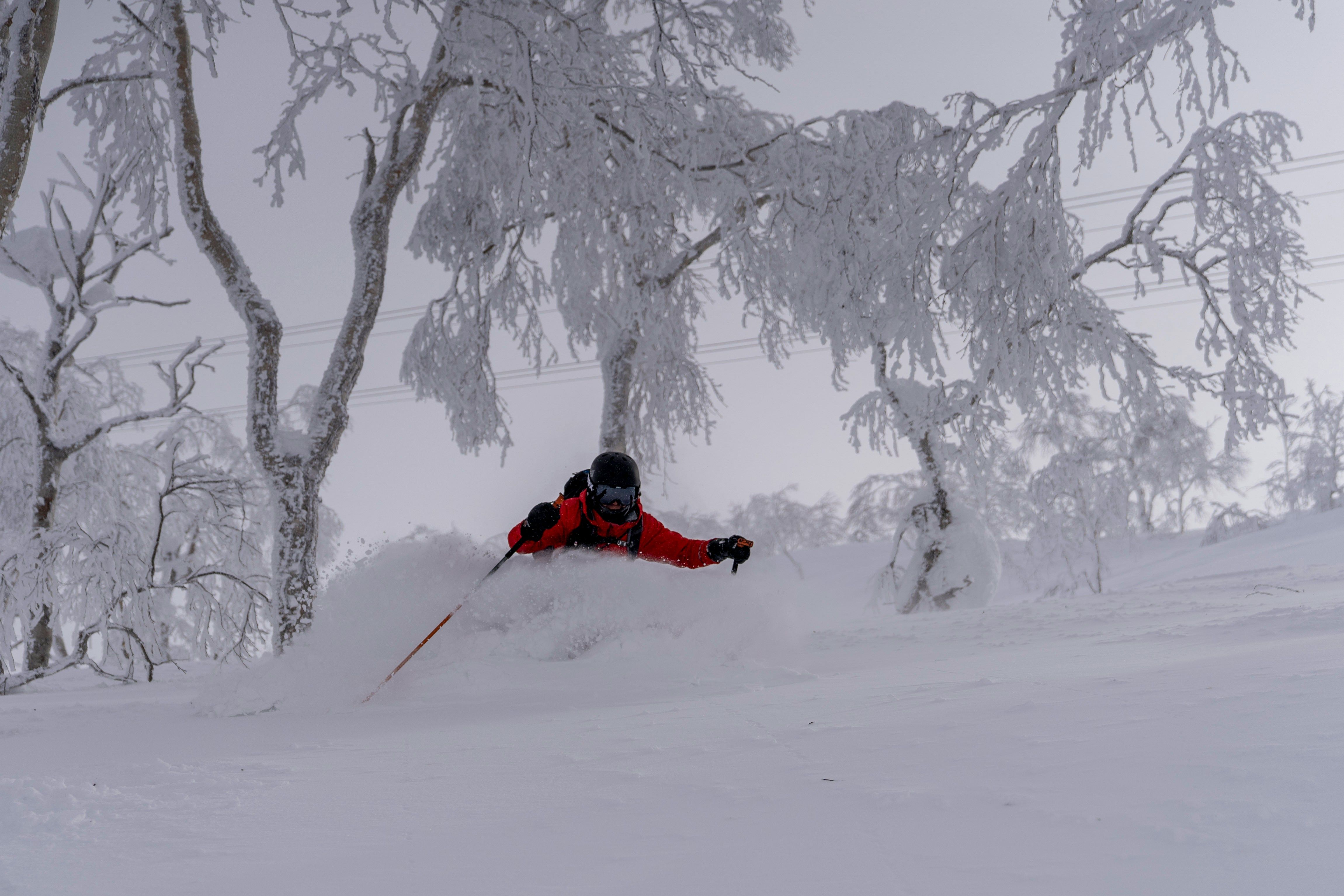 skier in powder in the backcountry Hokkaido