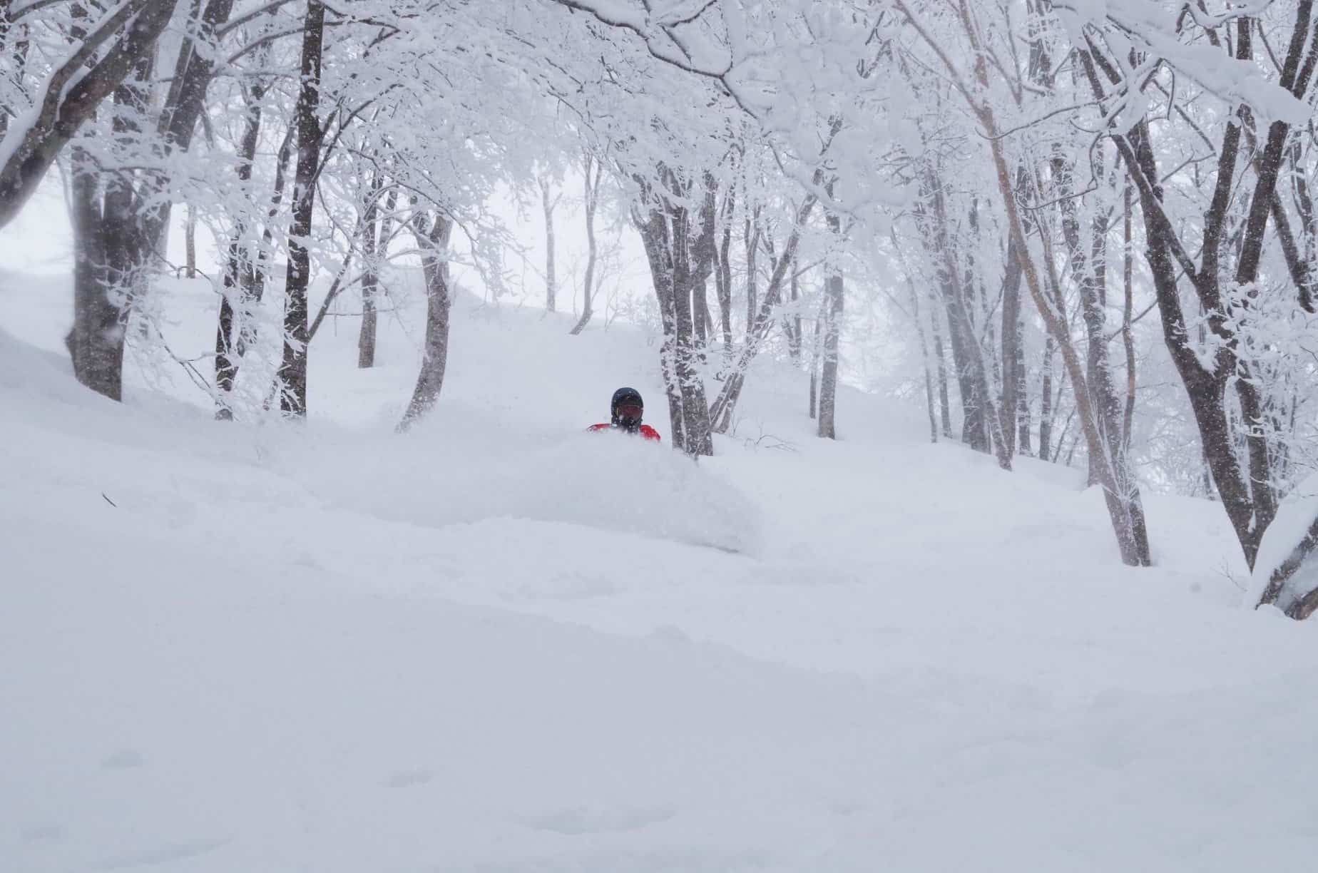deep deep japow, the best kind of pow at Hakuba 47
